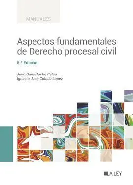 Aspectos Fundamentales de Derecho Procesal Civil 2