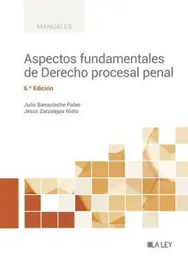 Aspectos Fundamentales de Derecho Procesal Penal 2