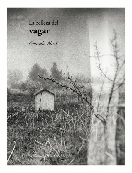 La Belleza del Vagar