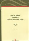 DERECHO SINDICAL. VOLUMEN III: CONFLICTOS COLECTIVOS DE TRABAJO