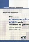 CONSECUENCIAS CIVILES DE LA VIOLENCIA DE GÉNERO.