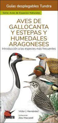 Aves de Gallocanta y Estepas y Humedales Aragonese