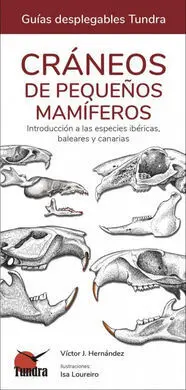 Craneos de Pequeños Mamiferos - Guias Desplegables Tundra