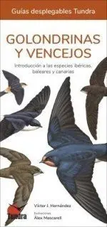 Golondrinas y Vencejos. Introducción a las Especie