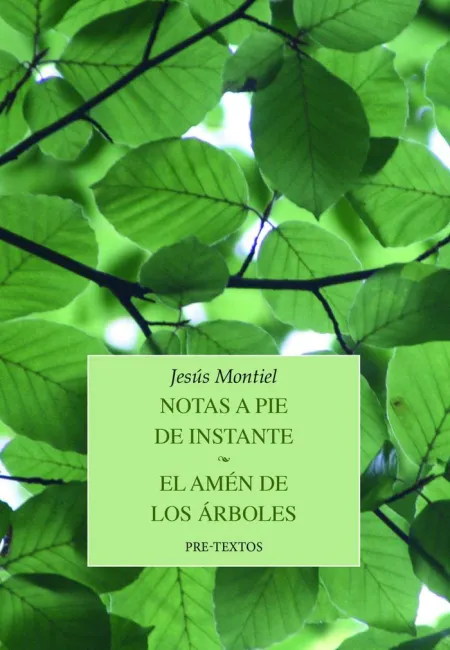 Notas a Pie de Instante / el Amén de los Árboles