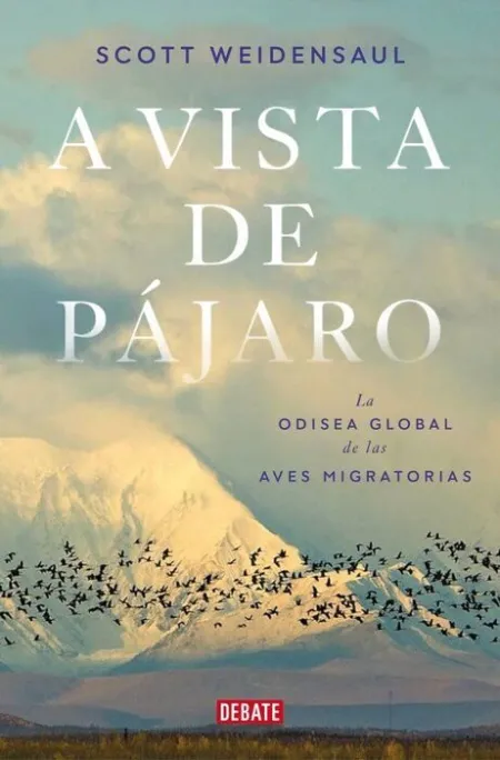A Vista de Pajaro