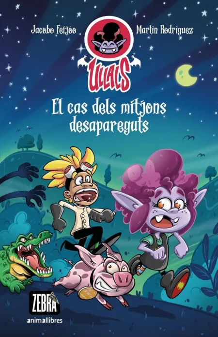 El Cas Dels Mitjons Desapareguts