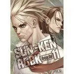 Sun Ken Rock Nº11