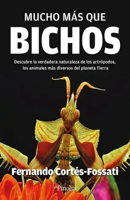Mucho Mas que Bichos