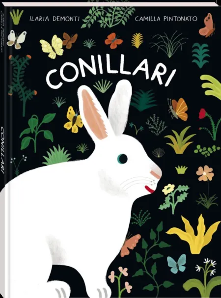 Conillari
