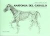 ANATOMIA DEL CABALLO