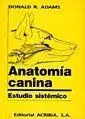 Anatomía Canina