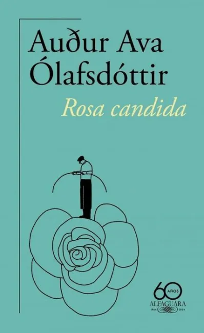 Rosa Candida (60 Aniversario)