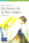 EN BUSCA DE LA FLOR NEGRA