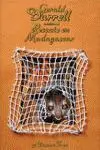 Rescate en Madagascar