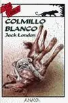 Colmillo Blanco