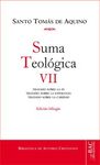 SUMA TEOLOGICA VII