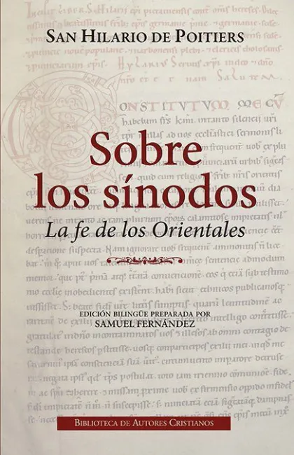 Sobre los Sínodos