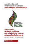 AMAZONIA: NUEVOS CAMINOS PARA LA IGLESIA Y PARA UN