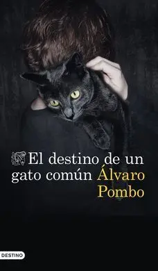 El Destino de un Gato Comun