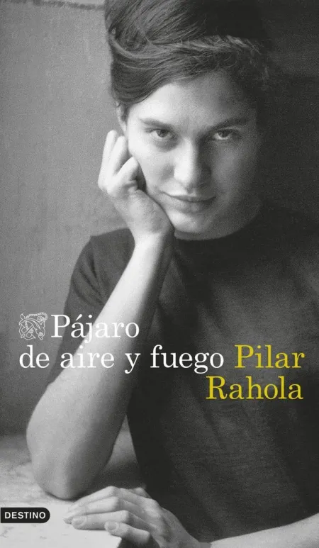 Pajaro de Aire y Fuego