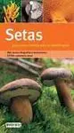 Setas. Guía Clara y Sencilla para Su Identificación