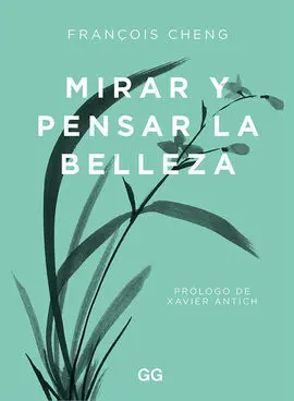 Mirar y Pensar la Belleza