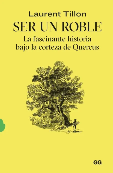Ser un Roble la Fascinante Historia Bajo la Cortez
