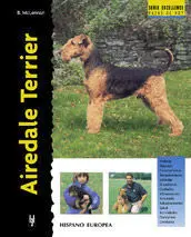 Airedale Terrier