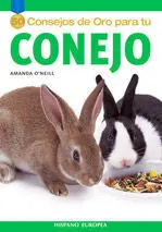 Conejo