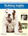 Bulldog Inglés Nuevas Guías Perros de Raza