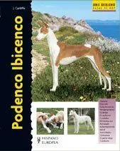 Podenco Ibicenco