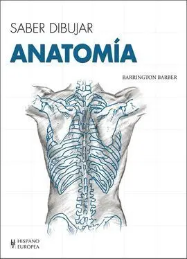 Anatomia. Saber Dibujar