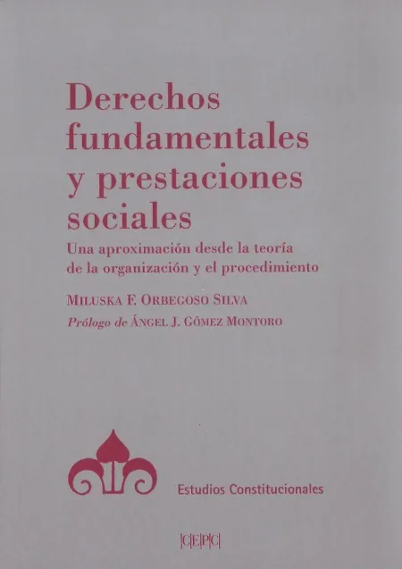 Derechos Fundamentales y Prestaciones Sociales