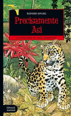 Precisamente Así