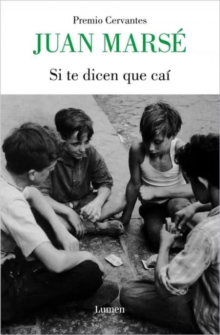 Si te Dicen que Cai (Tb)2024