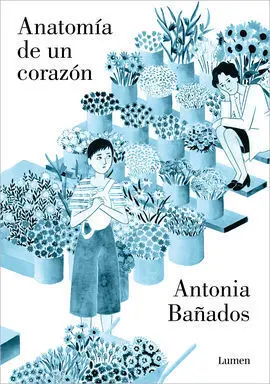 Anatomia de un Corazon