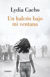 UN HALCÓN BAJO MI VENTANA