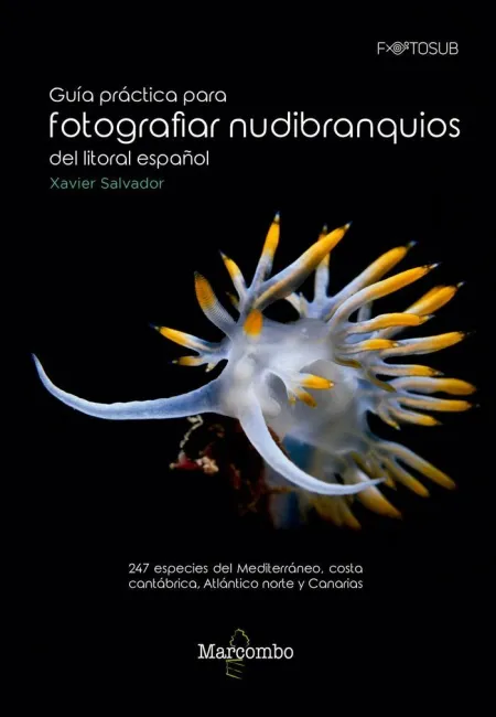 Guia Práctica para Fotografiar Nudibranquios Litoral Españo