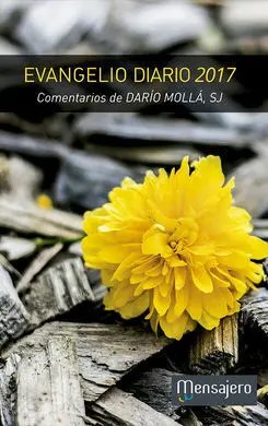 Evangelio Diario 2017
