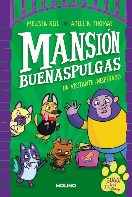 Mansion Buenaspulgas 1. Visitante Inespe