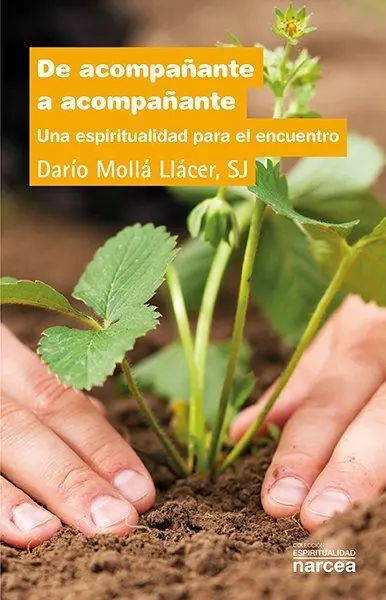De Acompañante a Acompañante /Una Espiritualidad P