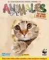 Animales (Stick & Activity)