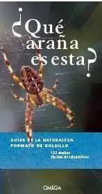 ¿Que Araña Es Esta?
