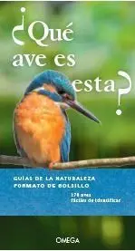 ¿Que Ave Es Esta?