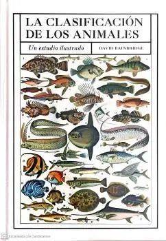 Clasificacion de los Animales, la