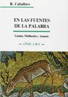 EN LAS FUENTES DE LA PALABRA. AÑOS A-B-C. HOMILÍAS DOMINICALES (3. ED.)