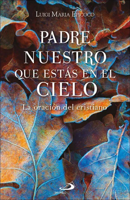 Padre nuestro que estas en el Cielo