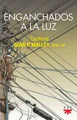 Enganchados a la Luz