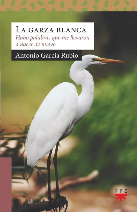 Sa. 248 la Garza Blanca